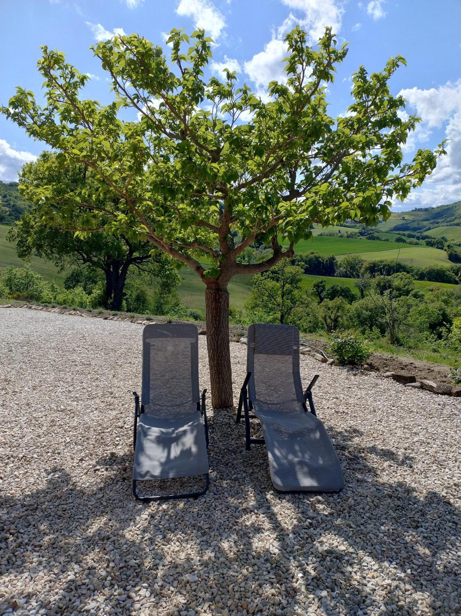 Rosa Nel Pozzo Apartments And B&B San Pietro  Bagian luar foto